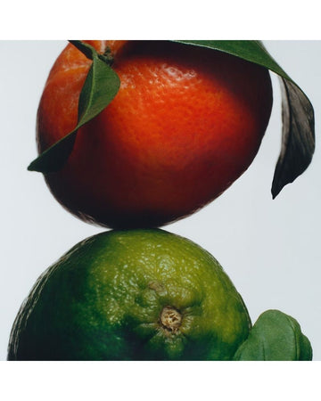 Lime + Basil + Manderine Cologne 100ml