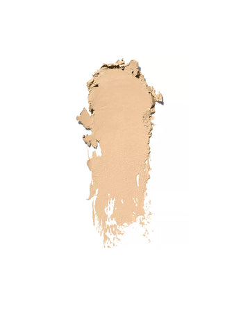 Skin Foundation Stick Ivory (C-024 / 0.75)