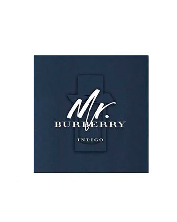 Mr Burberry Set 100ml + 30ml Eau de Toilette Spray
