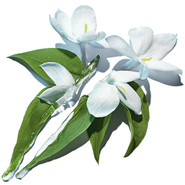 YSL Pure Shots Clean Reboot Mousse 125Ml