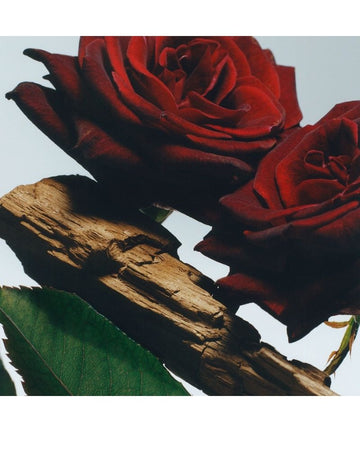 Velvet Rose & Oud Body & Hand Wash