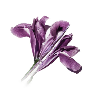 YSL Pure Shots Lines Away Serum 30Ml