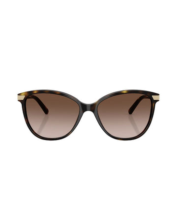 0be4216 300213 57 Dark Havana Brown Gradient
