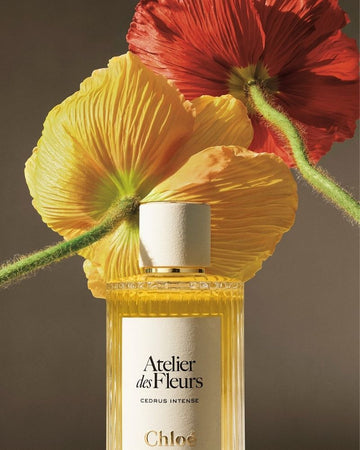 Chloe Atelier Des Fleurs - EDP - 150ml - Cedrus Intense