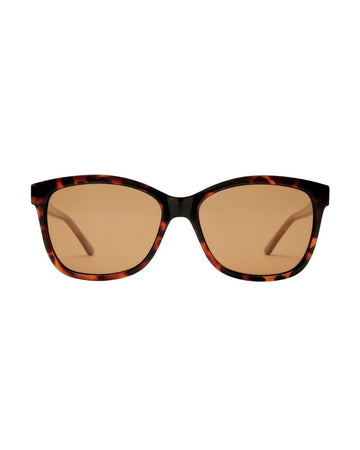 Cc Tcc2359423 Dark Tort / Tan Brown