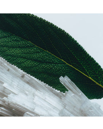 Wood Sage & Sea Salt Hand Cream 30ml