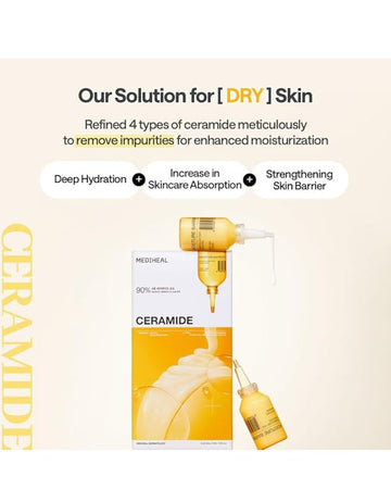 Ceramide Essential Mask*10