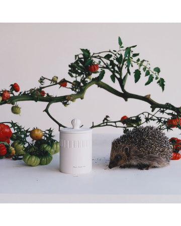 Green Tomato Vine Townhouse Candle 300g