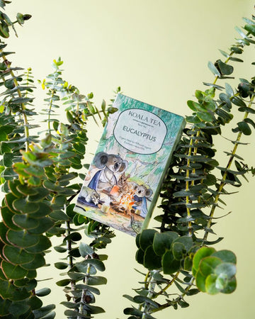 Eucalyptus Koala Design 20 Tea Bags