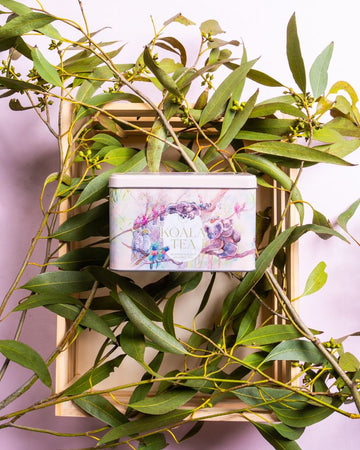 Forest Tin Gift Pack 25 Assorted Tea Bags