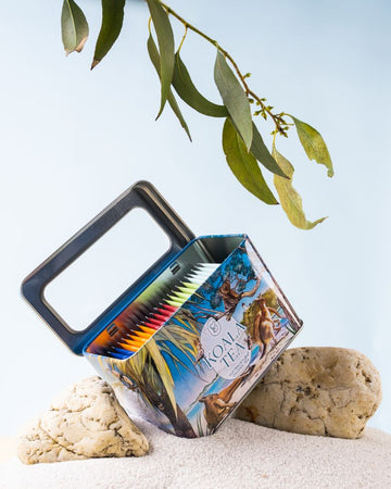 Beach Tin Gift Pack 25 Assorted Tea Bags